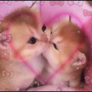 Meet your Posher, Ruebee